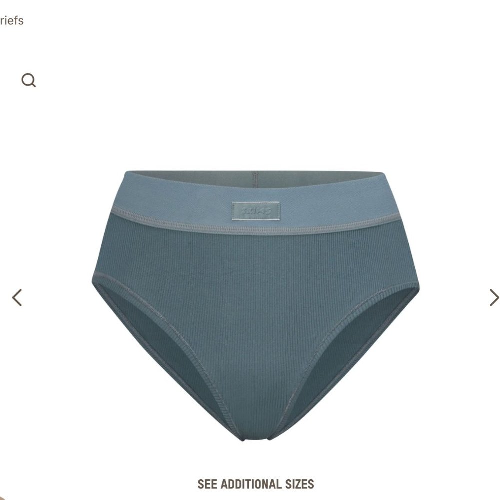SKIMS Cotton Rib Brief Bundle (2) - Kyanite and Light Heather Grey